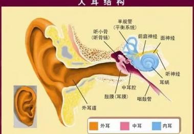 噪音影响了你的听力，听损影响了你跟家人的交流