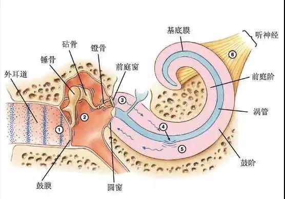 听力知识 