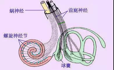 听力知识 